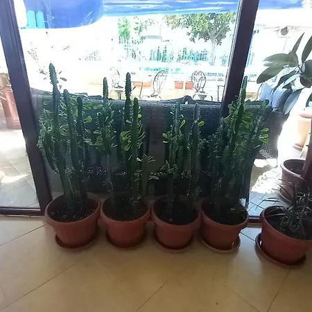 Blian Ξενοδοχείο